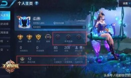 王者爆料茶茶视频大全,茶茶视频大全精彩回顾